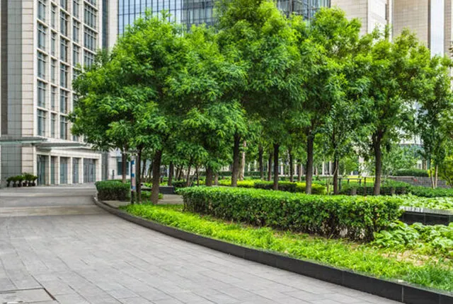 Landscaped Gardens